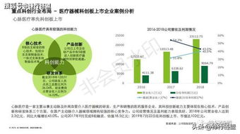 2019科創獨角獸研究報告 信息技術咨詢服務